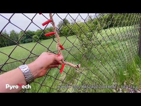 Video XP1001