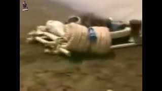 Download lagu Cuplikan film lucu Benyamin koboi ngungsi mp3 Download lagu Cuplikan film lucu Benyamin koboi ngungsi mp3