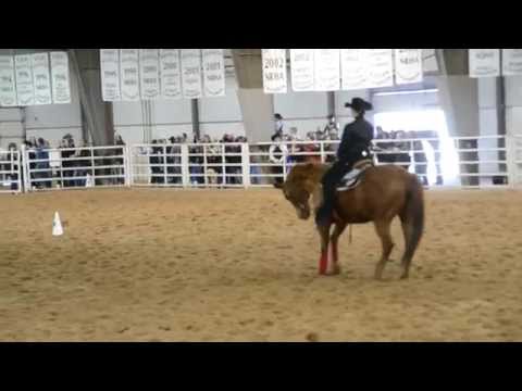 Liz Vacchiano - Individual Beginner Horsemanship Prelim A - IHSA Western Semi-Finals 2014