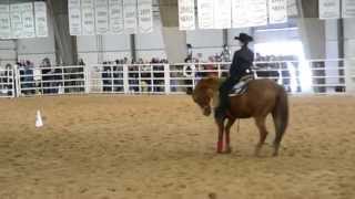 Liz Vacchiano - Individual Beginner Horsemanship Prelim A - IHSA Western Semi-Finals 2014