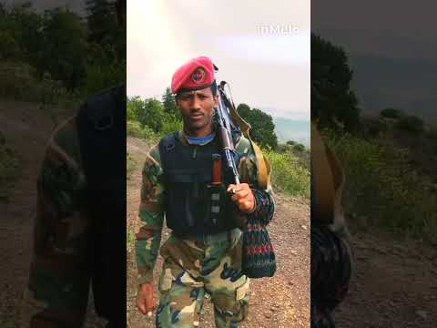 የፋኖ ብርጌድ ምክትል አዛዥ ኮማንዶ አምሳ አለቃ ፍቅሩ|Air Force COMMANDO Fikru| @ZEDVIEWS1221 #new #newshorts