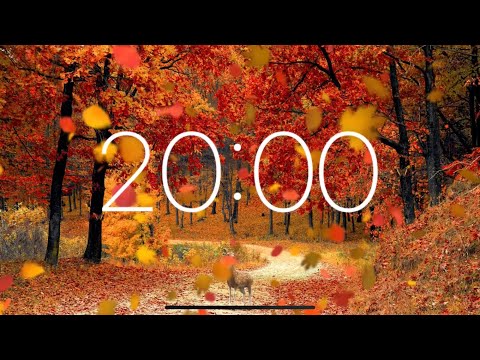 20 Minute Timer - Autumn Leaves Falling (Forest Ambience)