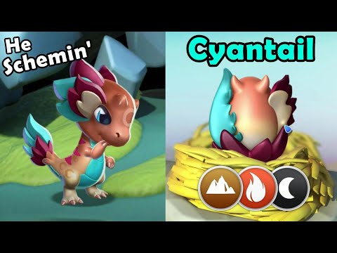 CYANTAIL DRAGON Hatching + Dragon's Delight Ramblings! BOSS CHALLENGE Next week! - DML #1392