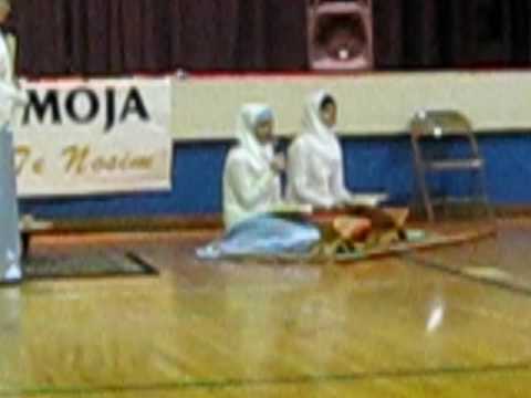 louisville hor-bulbuli