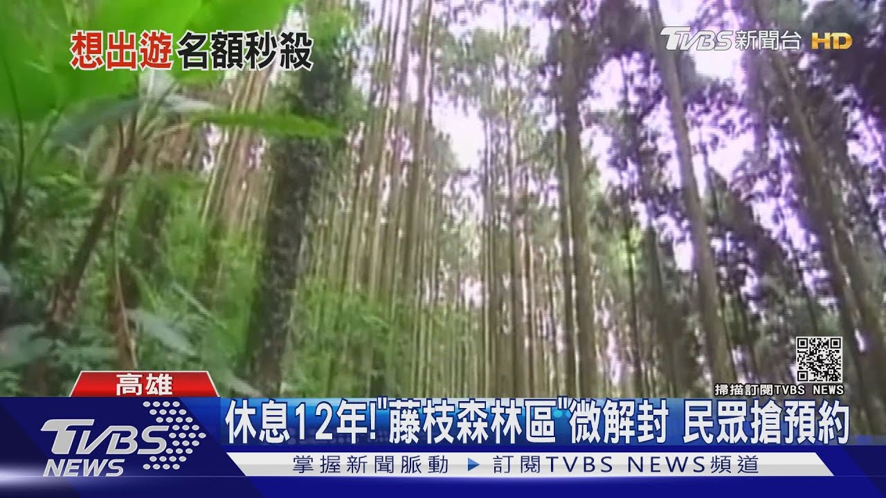 真的悶壞！「藤枝遊樂區」微解封　300名額十分鐘秒殺