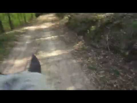 Lustiger Ausritt mit Julia und Lea