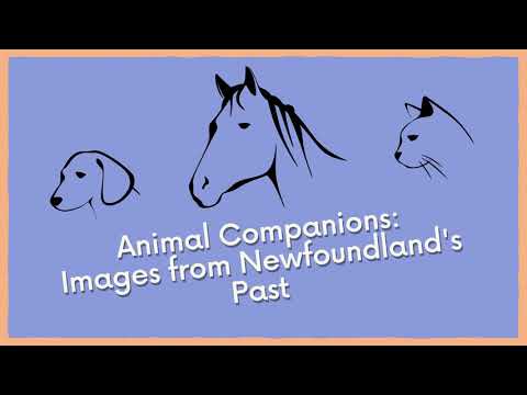NL History Picture Show - Animal Companions