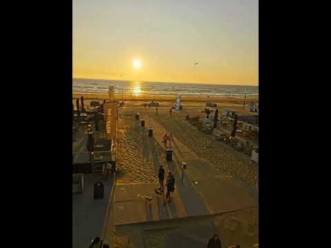 Zito & The Shakerz feat. Alray - Feel Alive (Anton Ishutin Mix) #Zito #TheShakerz #KimBe #NuDisco