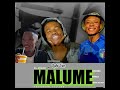 Malume Feat TallexQ Nta Swi Byela Mani Revisit Elvirgo Lah Vee