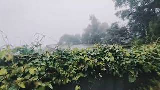 Trip to Munnar.... Tea Hills Resort...