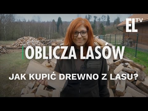 How to buy wood from the forest? | Faces of forests #22