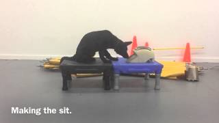 Fletcher. Training on the food machine