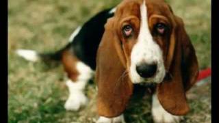 Eric Clapton and Ray Hensley - Hound Dog Number Two