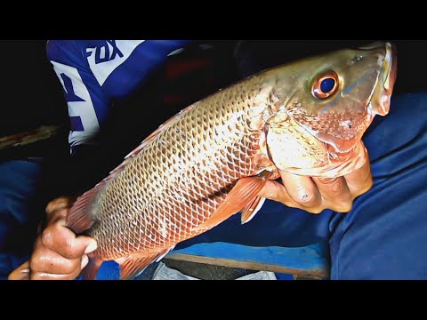 vlog198- Mangagat at Malabanos sa Buya buya | Occ. Mindoro Part 1