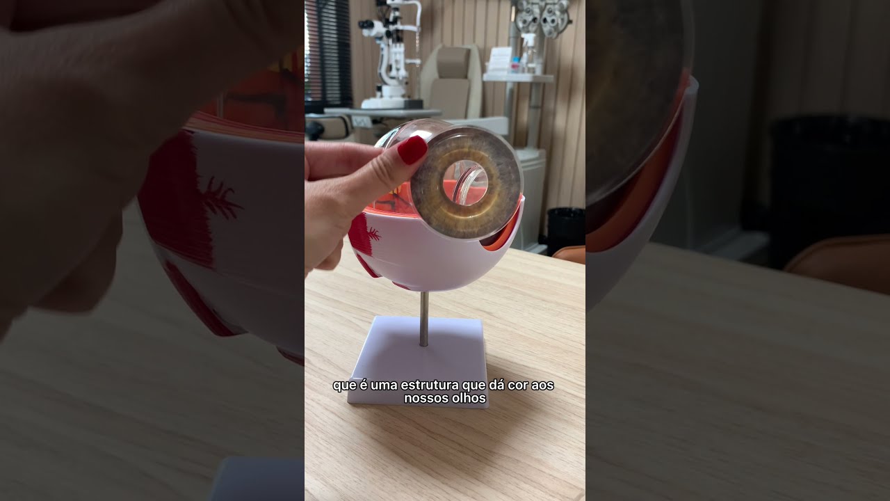 Anatomia do Olho - Como é nosso olho por dentro?