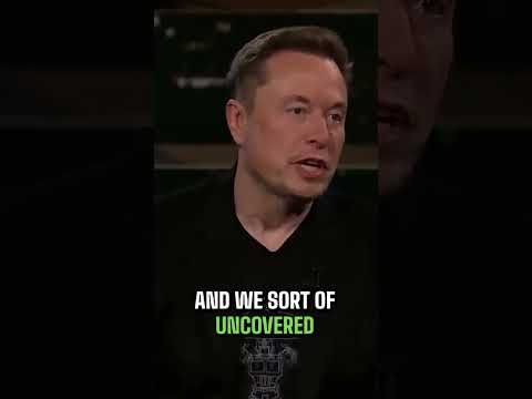 Elon Musk's Twitter Takeover