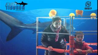 DIA 2 Expo Tiburon194