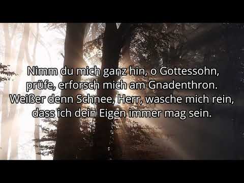 Nimm du mich ganz hin, o Gottessohn TEXT