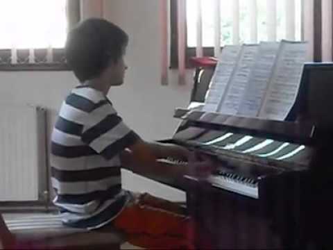 1179970 4454755347582 49161 n