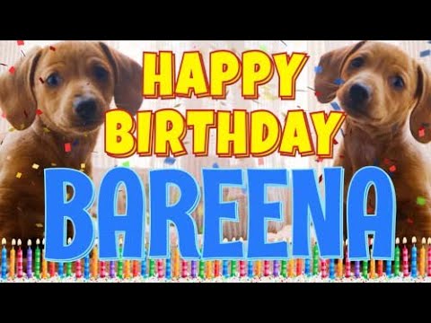 Happy Birthday Bareena! ( Funny Talking Dogs ) What Is Free On My Birthday