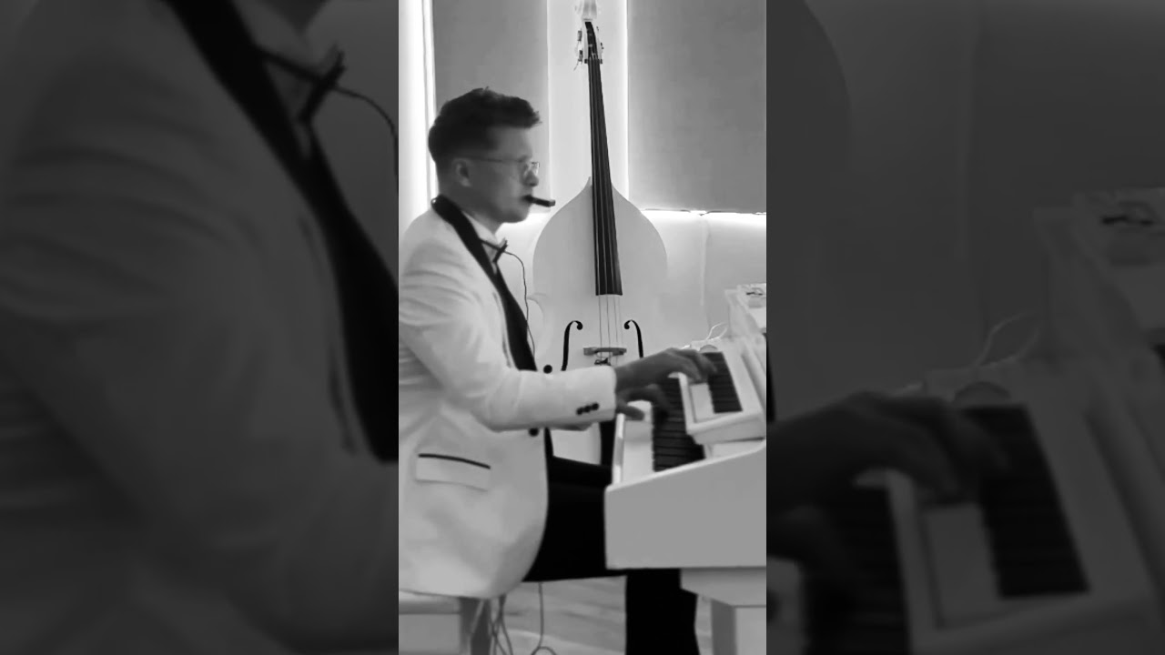 Promotional video thumbnail 2 for Pianist | DJ | Sound Equipment