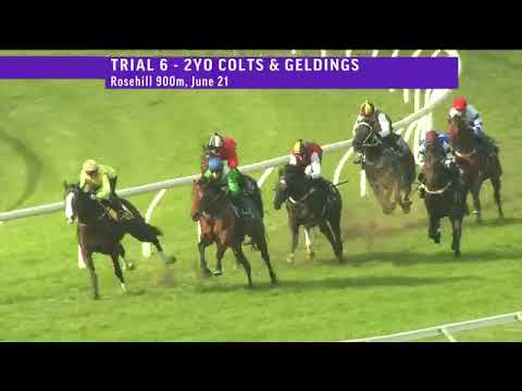 Mawjood trials at Rosehill