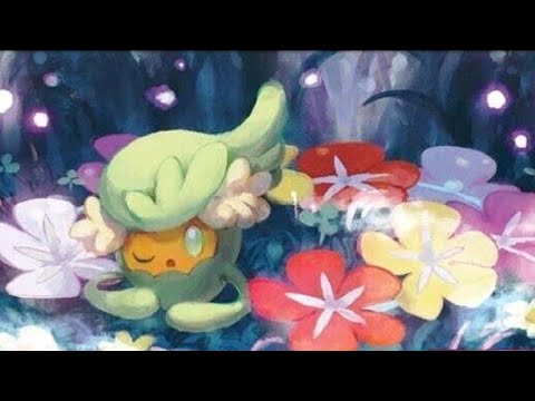 1st Place Amazing Lost box Deck Profile! February 2023!