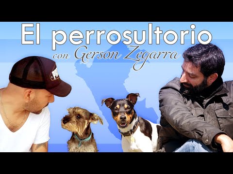 El Perrosultorio - con Gerson Zegarra