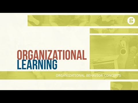 What is Organizational Behavior