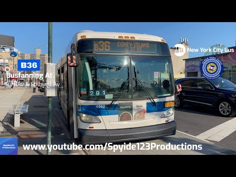 B36 Bus Time