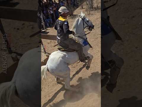 Um pouco da tradicional pega de boi de Jutaí, Distrito de Lagoa Grande PE, Terra dos Vaqueiros.