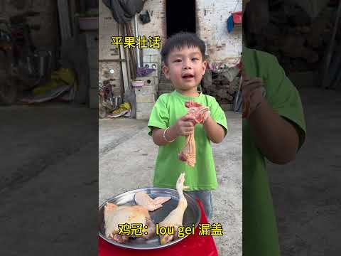 You have to learn by example. How does this Zhuang language sound?