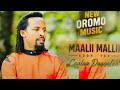 CAALAA DAGGAFAA MAALII MALLII NEW OROMO MUSIC 2026