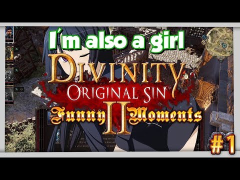 Divinity: Original Sin 2 - Funny Moments #1