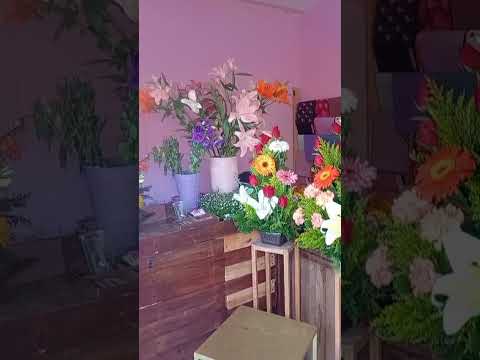 Video de FLORERIA CANDY