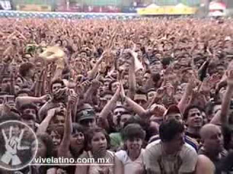 Presentación - Panteón Rococó en el Festival Vive Latino 2008 - La Carencia