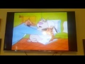 Cartoon Network 2 Stupid Dogs Ain T That Cute Bumper 2003