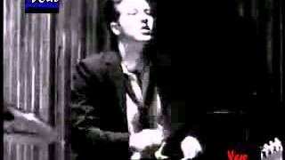 New Monkees "Carlene"