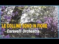Caravelli - Le Colline Sono in Fiore (1967)