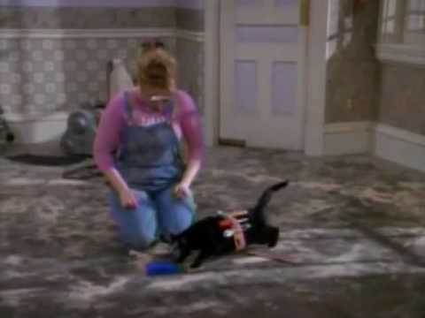 Salem Saberhagen polishes the floor
