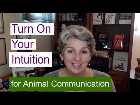How to Turn on Your Right Brain for Animal Communication