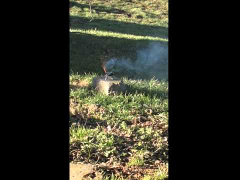 trim DE0D086B A66B 4FDE 8DCF E92CBB9EAE0C