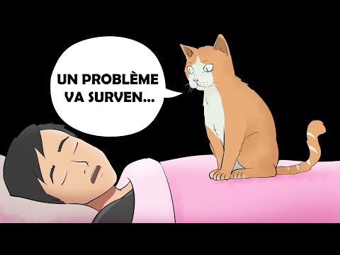 Si Votre Animal Fait Cela, Préparez-vous À Avoir Des Ennuis !
