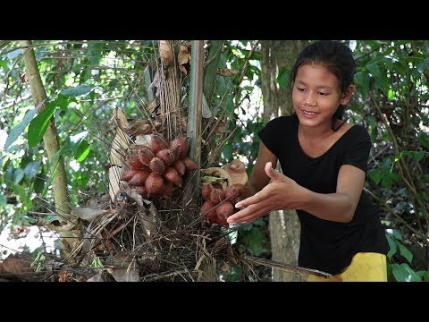 My Natural Food: Found Natural salak fruit in wild for eating delicious #3 Video