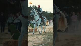 Horse Sounds (Thundering Hooves at the Medieval Market)
