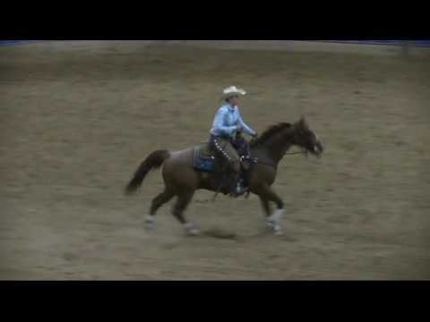 BOXO Heavens Blue July 30, 2016