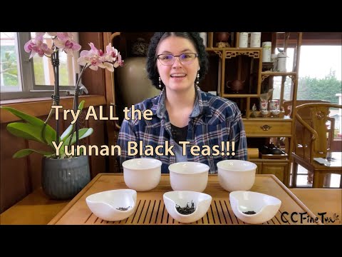 Explore Yunnan Black Teas: How To Do A Tasting & Discover Their Differences!
