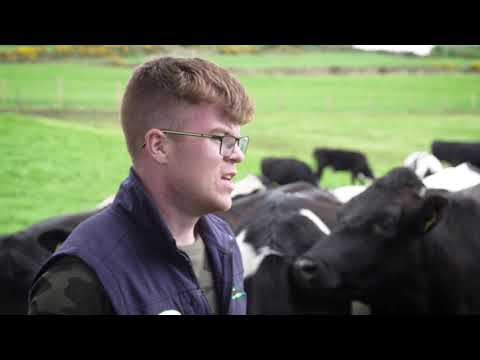, title : 'Meet Jarlath Ruane, Teagasc Green Acres Calf to Beef Farmer'