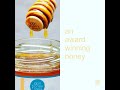 Latin Honey Shop Raw Organic Rainforest Honey From Brazil