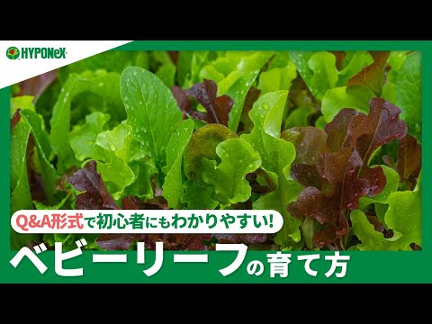 園芸 家庭菜園に関するよくある質問